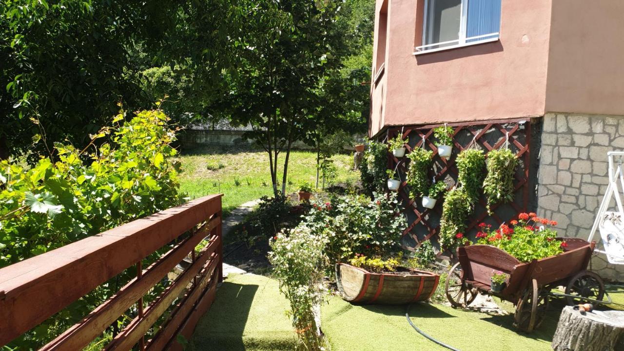 Casa Lorena Sărata-Monteoru Exterior foto