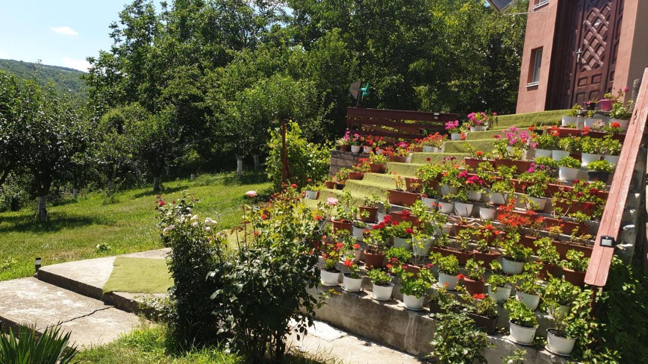 Casa Lorena Sărata-Monteoru Exterior foto