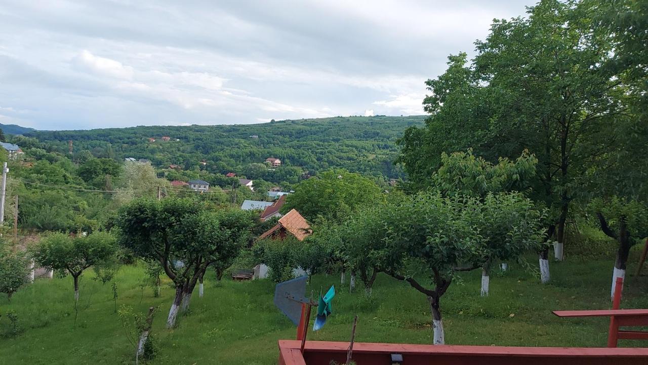 Casa Lorena Sărata-Monteoru Exterior foto