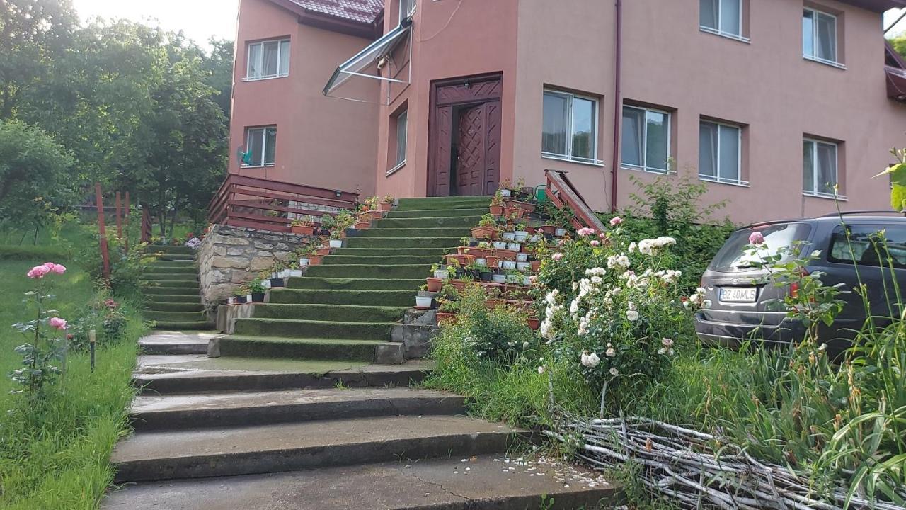 Casa Lorena Sărata-Monteoru Exterior foto