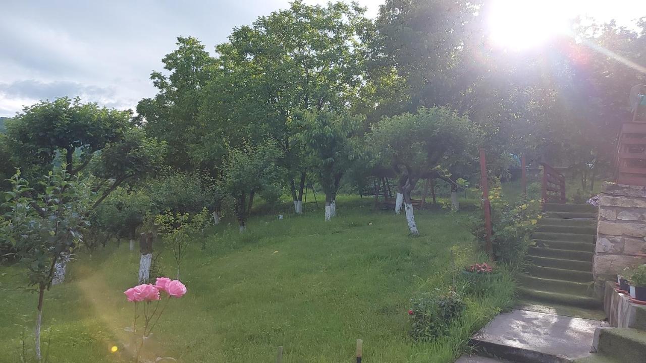 Casa Lorena Sărata-Monteoru Exterior foto