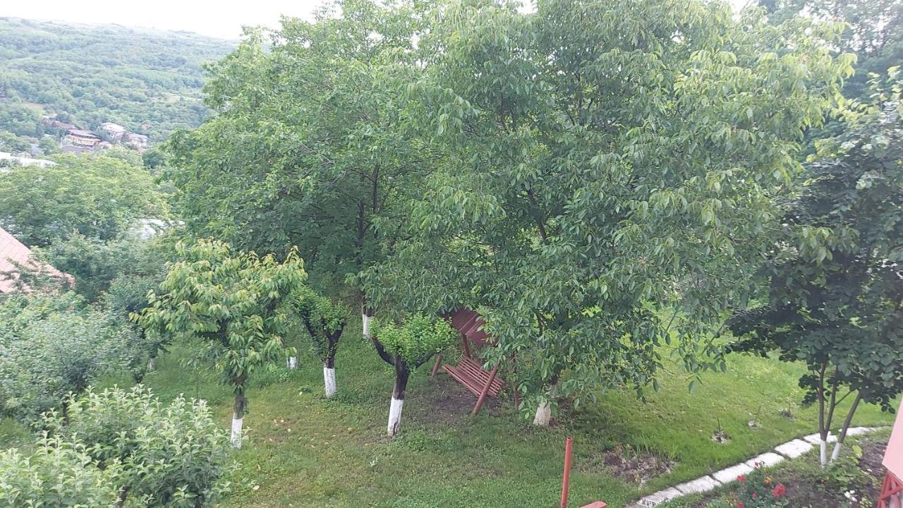Casa Lorena Sărata-Monteoru Exterior foto