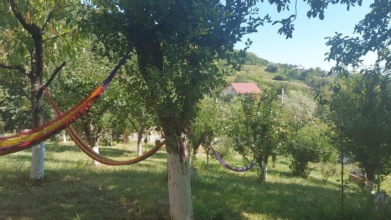Casa Lorena Sărata-Monteoru Exterior foto